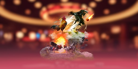 biet-phan-tich-du-doan-chien-ke-vn88