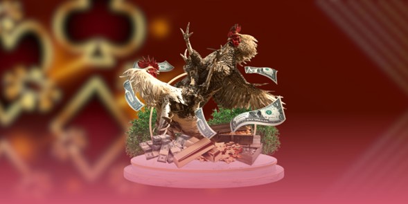 da-ga-campuchia-vn88