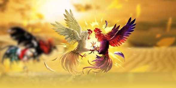 gioi-thieu-sanh-da-ga-truc-tiep-sv388