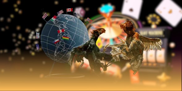 sanh-game-mcw-da-ga-cua-dao