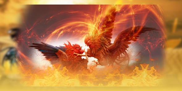 xem-da-ga-truc-tiep-khong-quang-cao