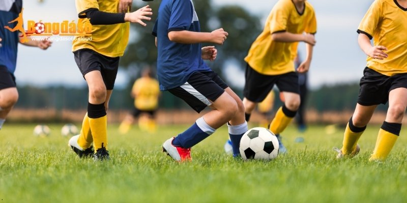 công cụ theo dõi tỷ lệ kèo